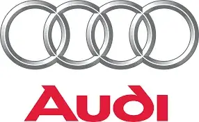 Audi Mileage Blockers