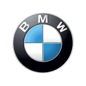 BMW Mileage Freezers / Blockers