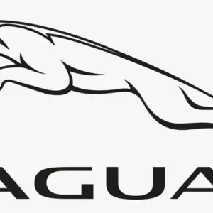 Jaguar Mileage Freezers / Blockers (Supplied & Fitted)